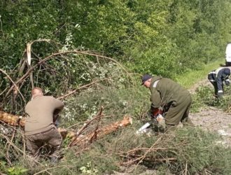 Опасные деревья, накренившиеся над дорогой в Новокузнецком округе, убрали