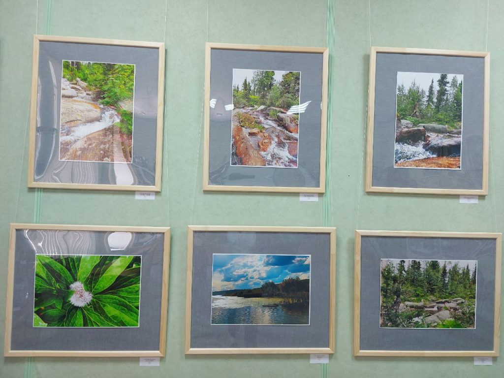 В Прокопьевске презентовали персональную фотовыставку Светланы Бутаковой