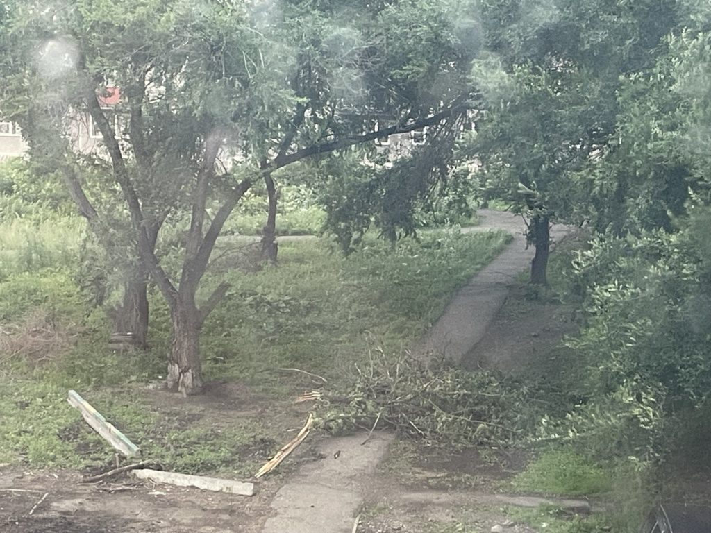 Даже от небольшого ветра в Новокузнецке валятся деревья  