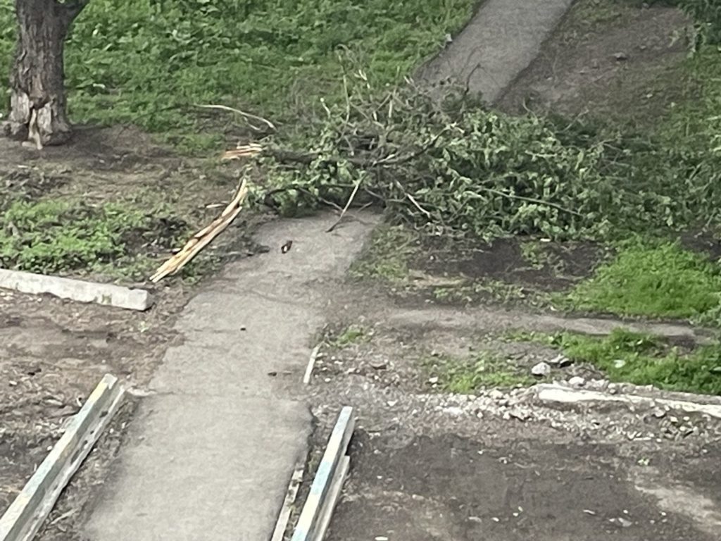 Даже от небольшого ветра в Новокузнецке валятся деревья  