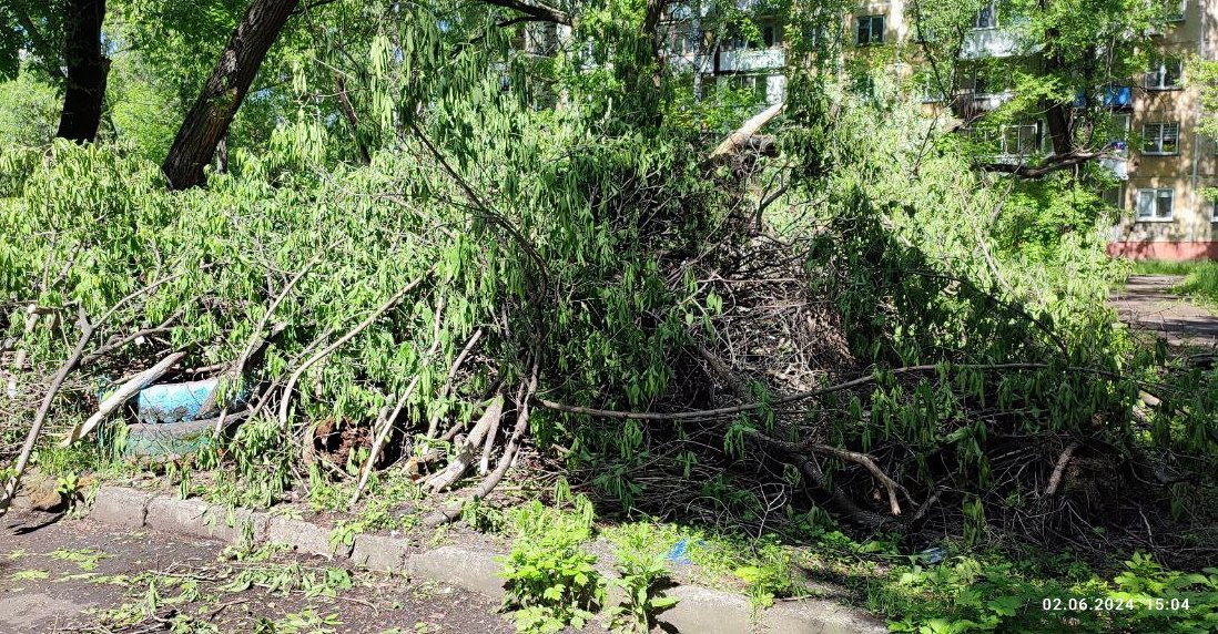 Завалы из деревьев и мусора в центре Новокузнецка беспокоят горожан