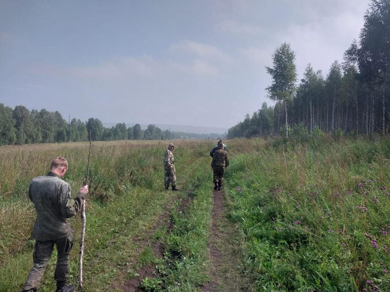 В Прокопьевске пенсионера-грибника нашли погибшим