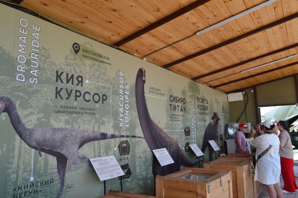 «Кладбище динозавров»: в чём уникальность Шестаковского комплекса