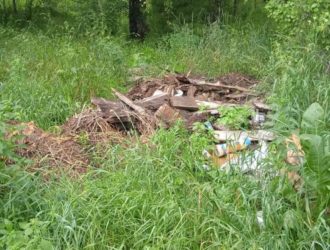 В Кузбассе прокуратура помогла ликвидировать незаконную свалку