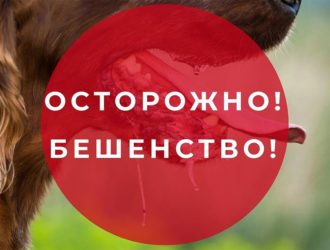В Топкинском округе выявили случай бешенства у собаки