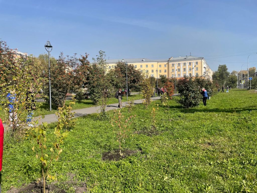 Новокузнечане приняли участие в озеленении города