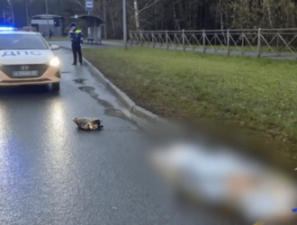 В Кемерове под колесами автобуса погибла женщина