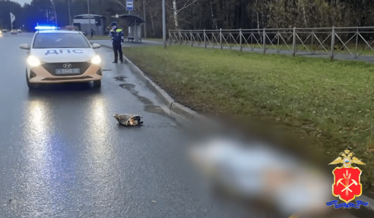 В Кемерове под колесами автобуса погибла женщина