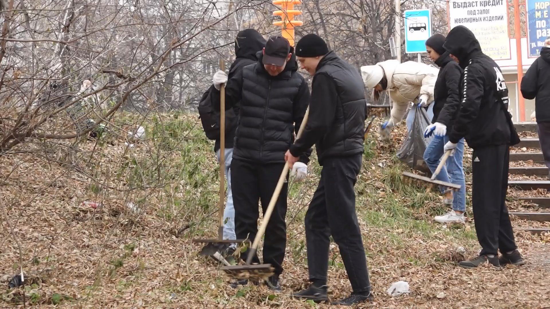 В Анжеро-Судженске студенты провели акцию «Чистый лес»