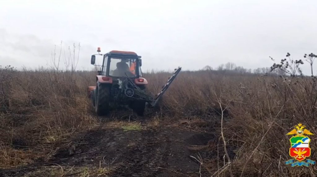 В Новокузнецком районе уничтожили полгектара дикорастущей конопли