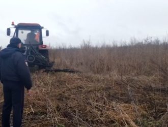 В Новокузнецком районе уничтожили полгектара дикорастущей конопли