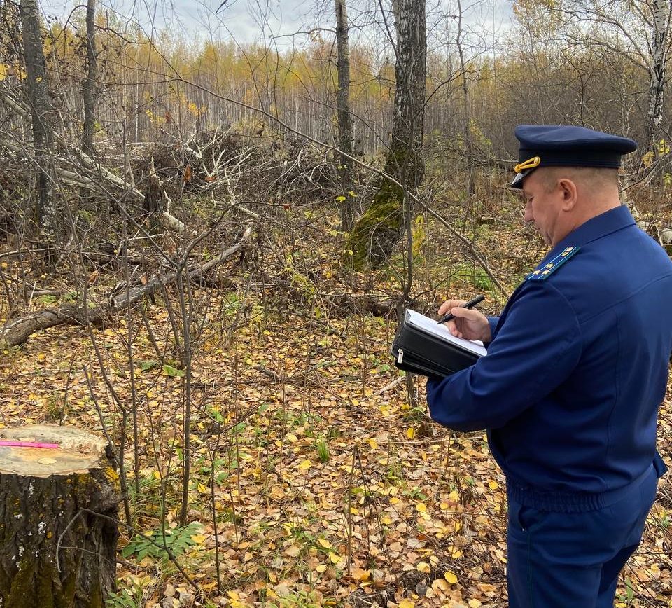 В Яшкинском МО незаконно вырубали лес