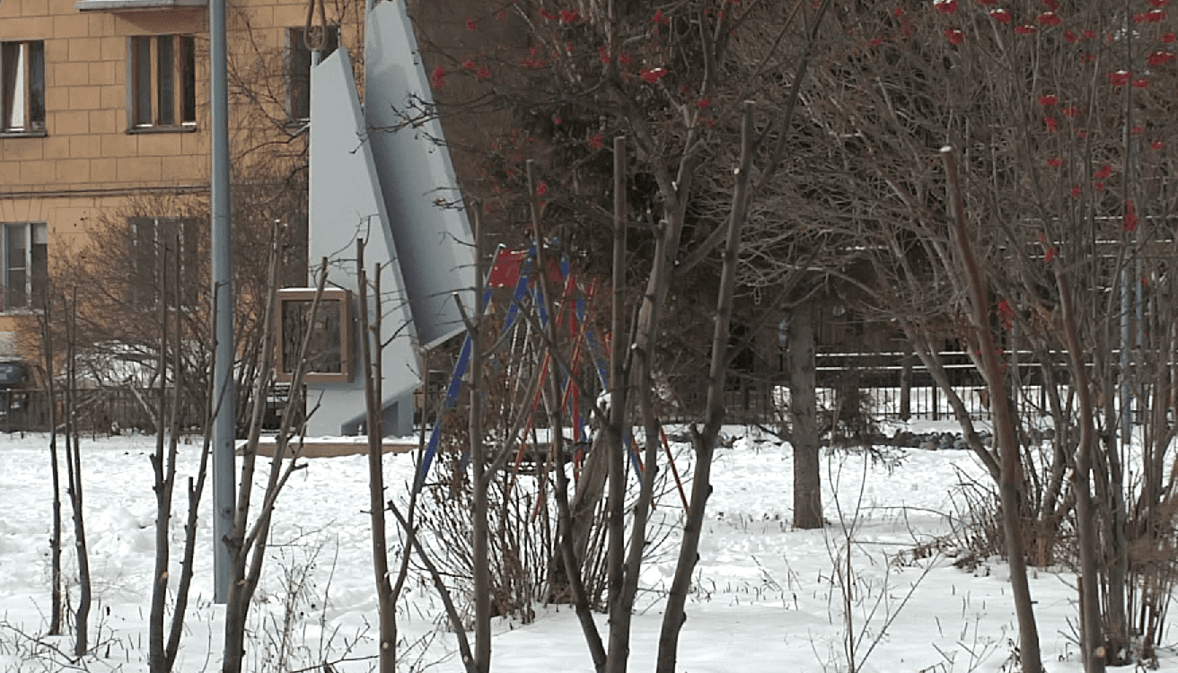 В Новокузнецке в одном из скверов вандальной обрезке подвергли липовую аллею