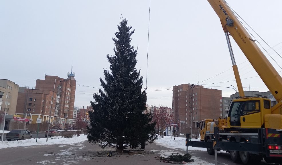 В одном из районов Кемерова установили живую ель