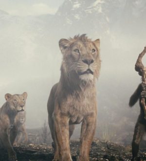 КиноКузбасс: «Муфаса: Король Лев» – достойная и интересная предыстория