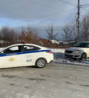 Госавтоинспекторы Кузбасса спасли автомобилистку из снежного плена