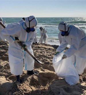 Более 1 тонны мазутного песка убрали Российские студенческие отряды за первый день помощи в ликвидации последствий разлива нефтепродуктов в акватории Черного моря