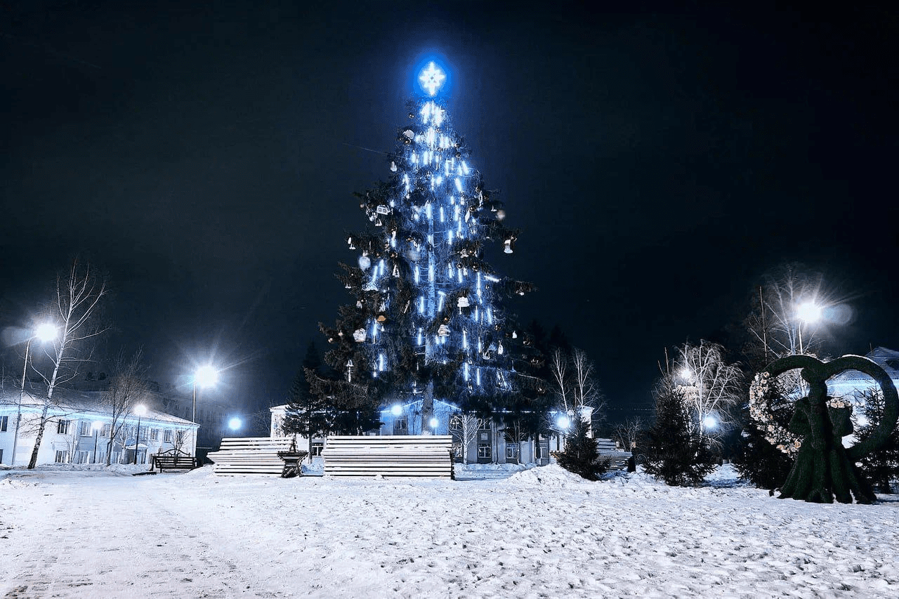 Министр культуры Кузбасса рассказал о необычных елках региона