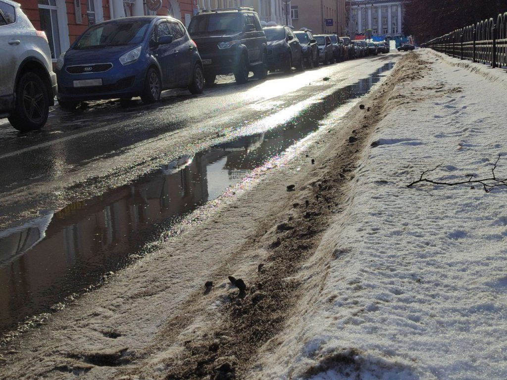 Дождливый январь: фоторепортаж необычного потепления в Кемерове