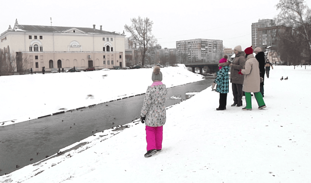 В Новокузнецке пересчитали уток