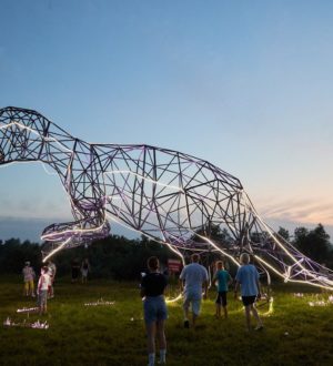 Фестиваль «Динотерра – 2025» пройдет с 27 по 29 июня