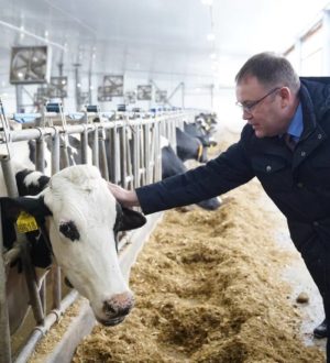 Илья Середюк оценил работу первого в Кузбассе животноводческого комплекса с роботодоением