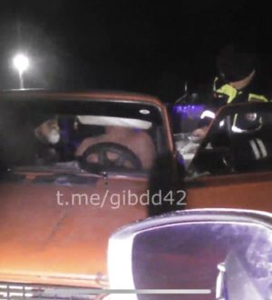 Пьяного полуголого водителя без прав арестовали на 10 суток в Кузбассе