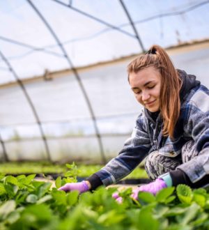 Более 46 000 студентов бесплатно пройдут обучение по рабочим профессиям в составе Российских студенческих отрядов