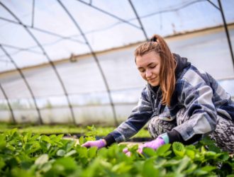 Более 46 000 студентов бесплатно пройдут обучение по рабочим профессиям в составе Российских студенческих отрядов