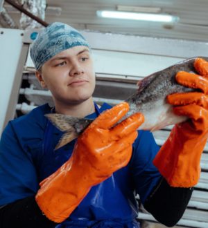 Более 5 000 человек будут работать на рыбообрабатывающих предприятиях в составе РСО этим летом