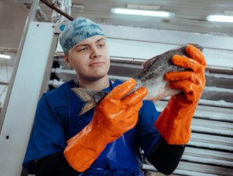 Более 5 000 человек будут работать на рыбообрабатывающих предприятиях в составе РСО этим летом