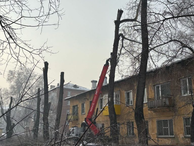 В "ДЛЗ" состоялся аудит СМК Новости ООО "КАМЦЕНТР"