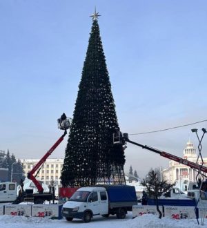 В Кемерове начали разбирать главную новогоднюю елку города