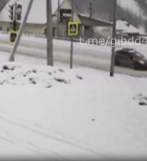 В Новокузнецке произошло ДТП с 9-летней девочкой, побежавшей за собакой