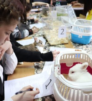 В Новокузнецком округе откроются четыре агротехнологических класса