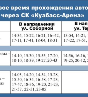 В Кемерове для болельщиков запустят дополнительные автобусы в день финала чемпионата России по хоккею с мячом