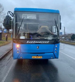 В Кузбассе отправится в колонию водитель автобуса, сбивший насмерть женщину-пешехода
