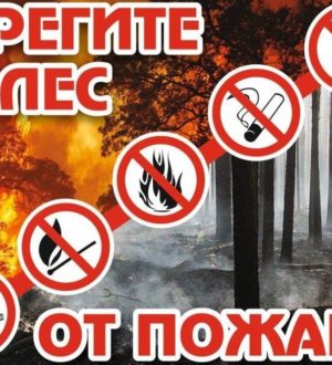 Почти 102 млн рублей из федеральной казны выделят Кузбассу на подготовку к пожароопасному сезону