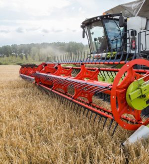 Миллионы рублей направлены в Кузбассе на подготовку кадров для сельского хозяйства по новому нацпроекту