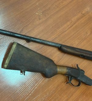 Житель Тайги нашел ружье на мусорке, он может рассчитывать на премию