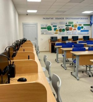 Кузбасских школьников массово переводят на дистанционное обучение из-за ОРВИ и пневомнии