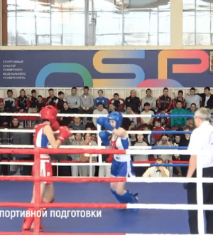Спортсмены из Новокузнецка завоевали четыре медали первенства Сибири по кикбоксингу