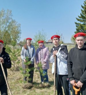 В Кузбассе высадят более трех тысяч деревьев к 80-летию Победы