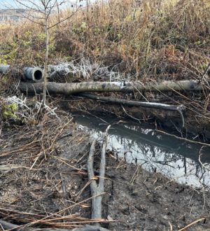 Ущерб на 15 миллионов: в Кузбассе угольный разрез испортил сельскохозяйственные земли