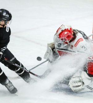 Новокузнецкий «Металлург» на выезде одолел «Челмет»