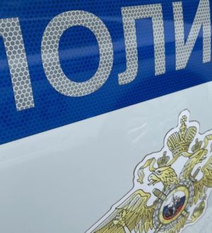 Беловчанин пойдет под суд за нападение на полицейского