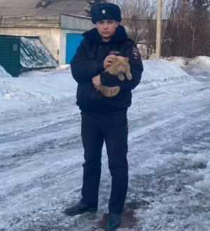 В Кузбассе полицейский спас рыжего кота, у которого умер хозяин
