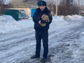 В Кузбассе полицейский спас рыжего кота, у которого умер хозяин