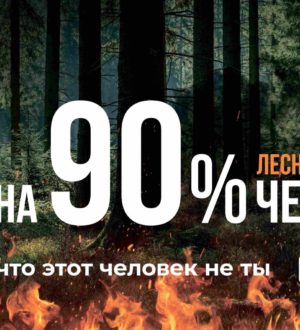 Кузбассовцев предупреждают об опасности весенних палов