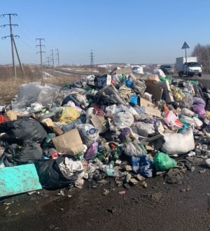 В Кузбассе проверяют жалобы на незаконные свалки